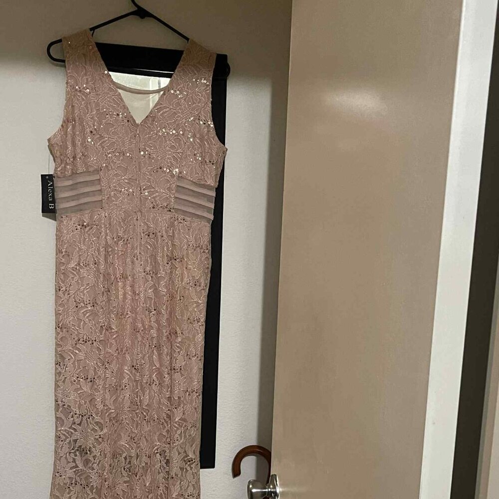 Floor leanth pink prom dress